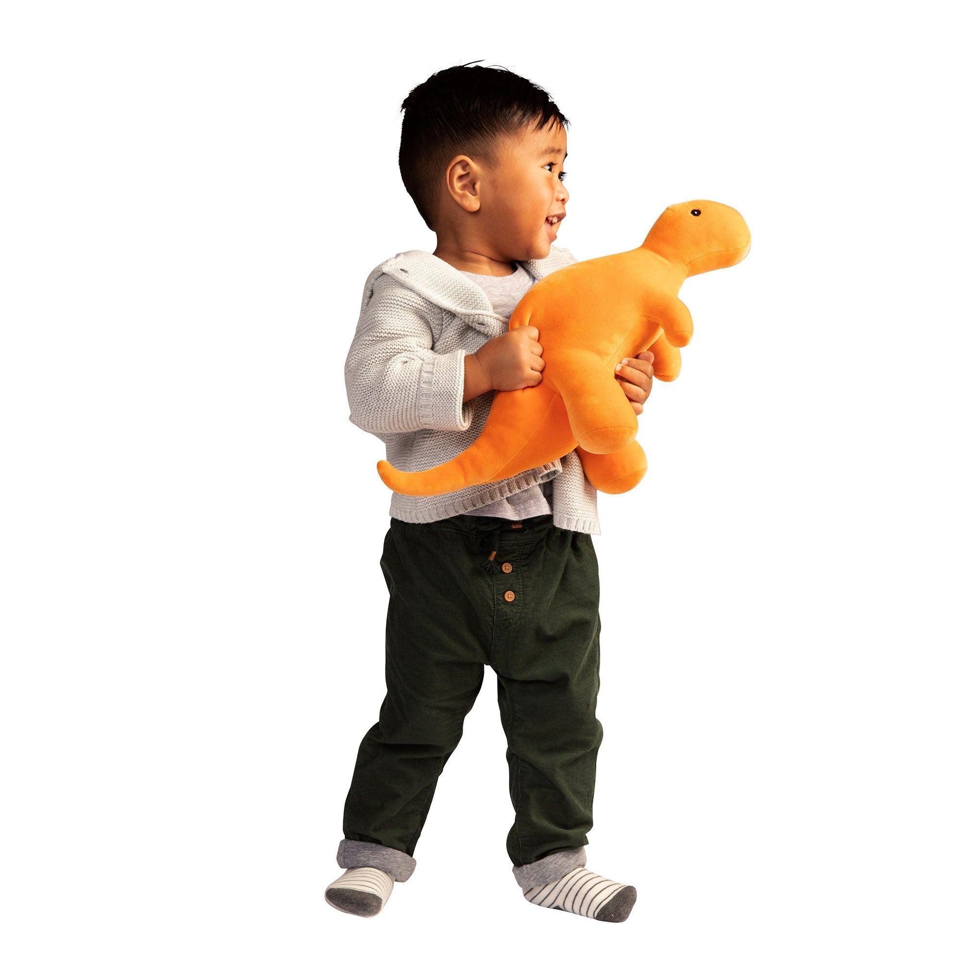 Growly Velveteen T-Rex Dino 11"