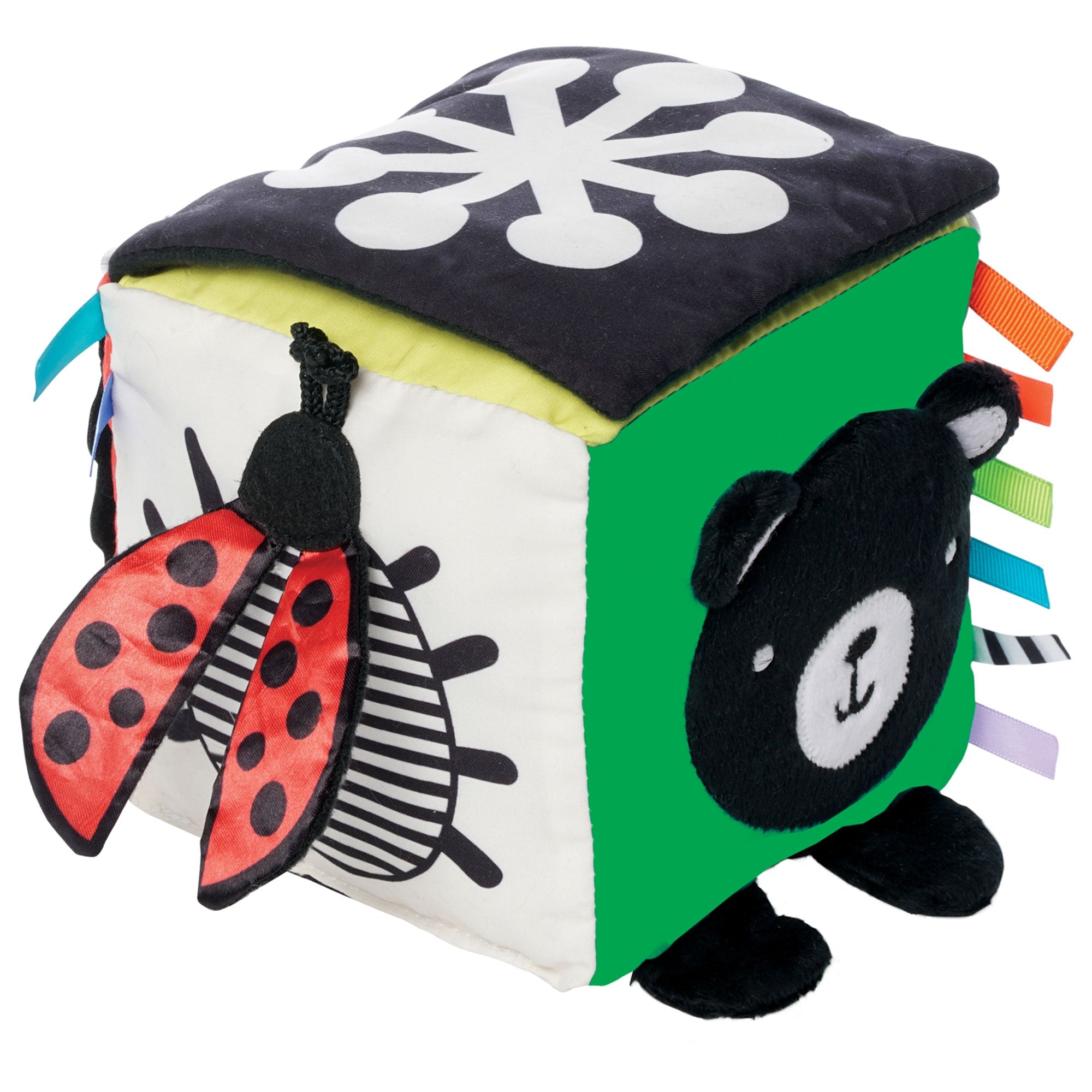 Wimmer - Discovery Cube
